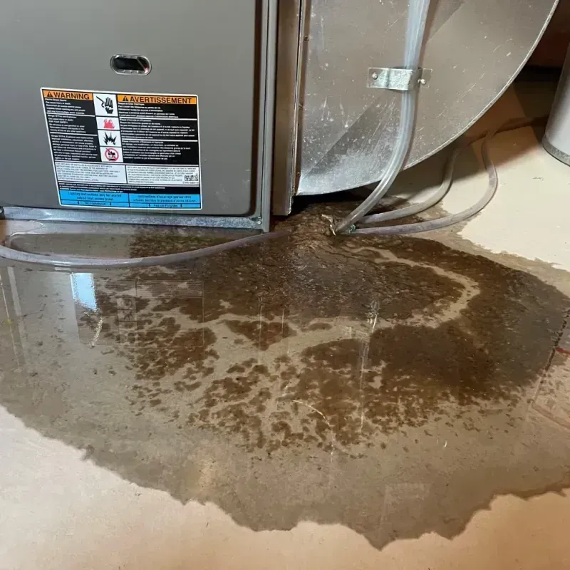 Appliance Leak Cleanup in South Euclid, OH